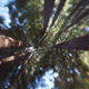 Illustration for article titled The Lensbaby Sol Is a Gimmick, But Its a Damn Fun Oneem/em
